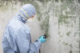 Best Forensic Mold Investigation  in Groveland, ID